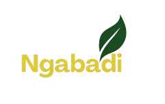 Ngabadi_Agriculture_Solutions-removebg-preview